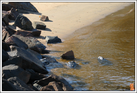 Rocky Beach