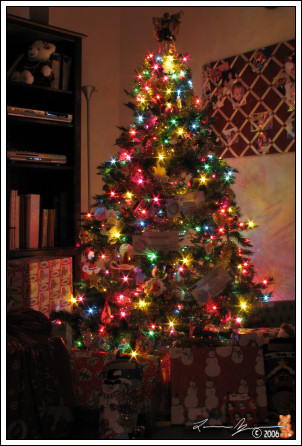 the tree