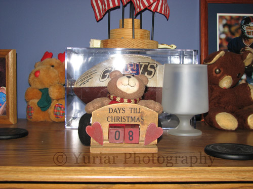 Countdown Bear