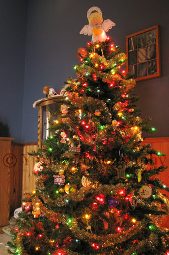 the tree
