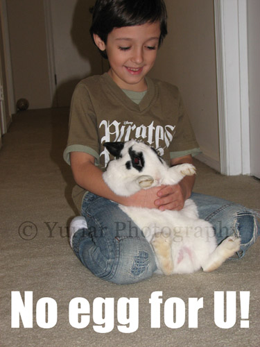 080320_noegg4u.jpg