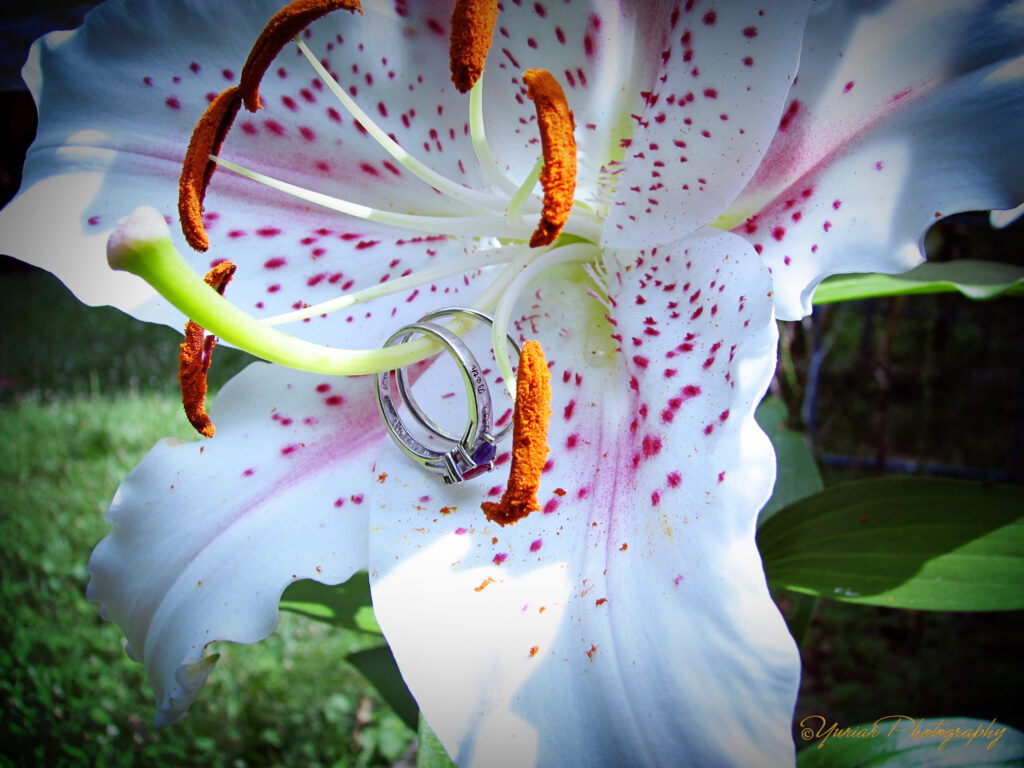 Rings in Bloom