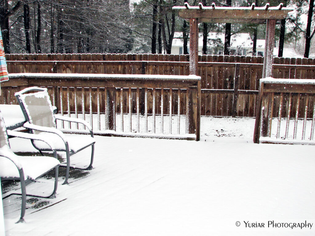 The Snowy Deck