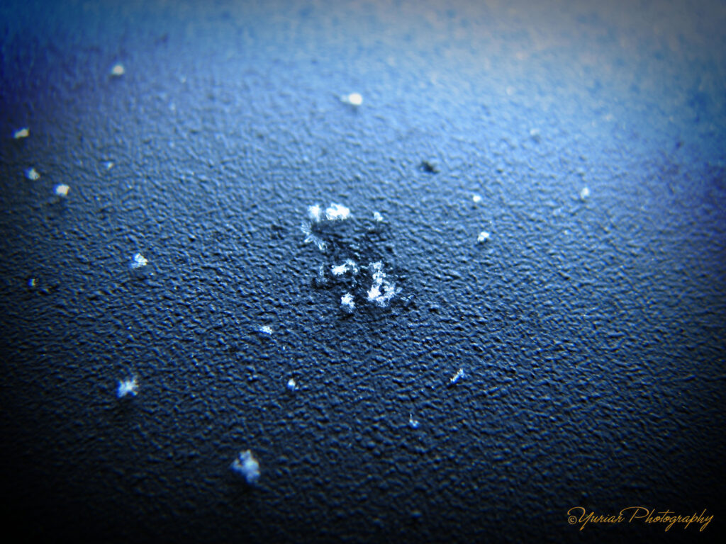 A tidewater snow