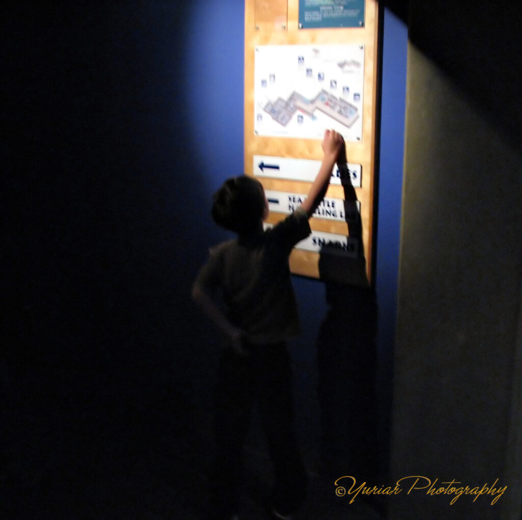 All abt the map