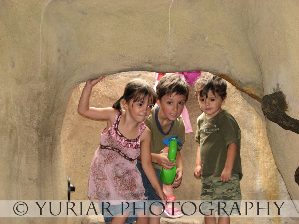 Cave Dwellers