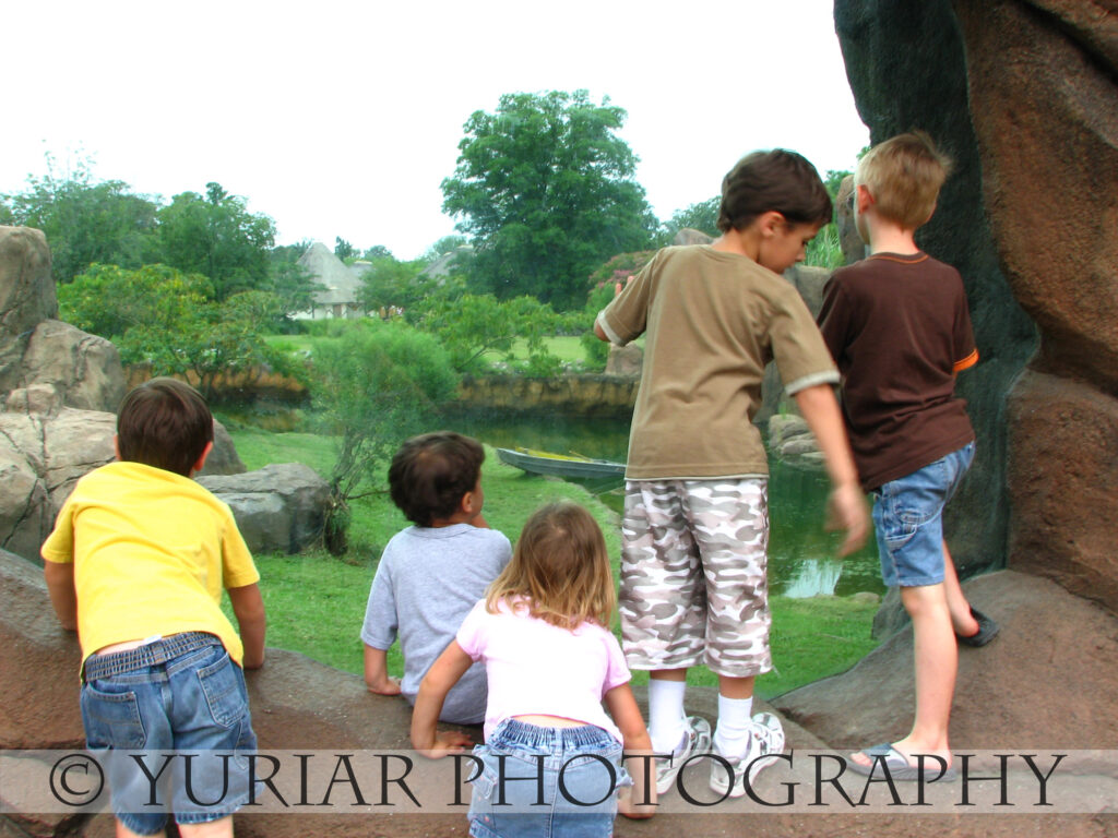 Checkin’ out the empty Lion exhibit