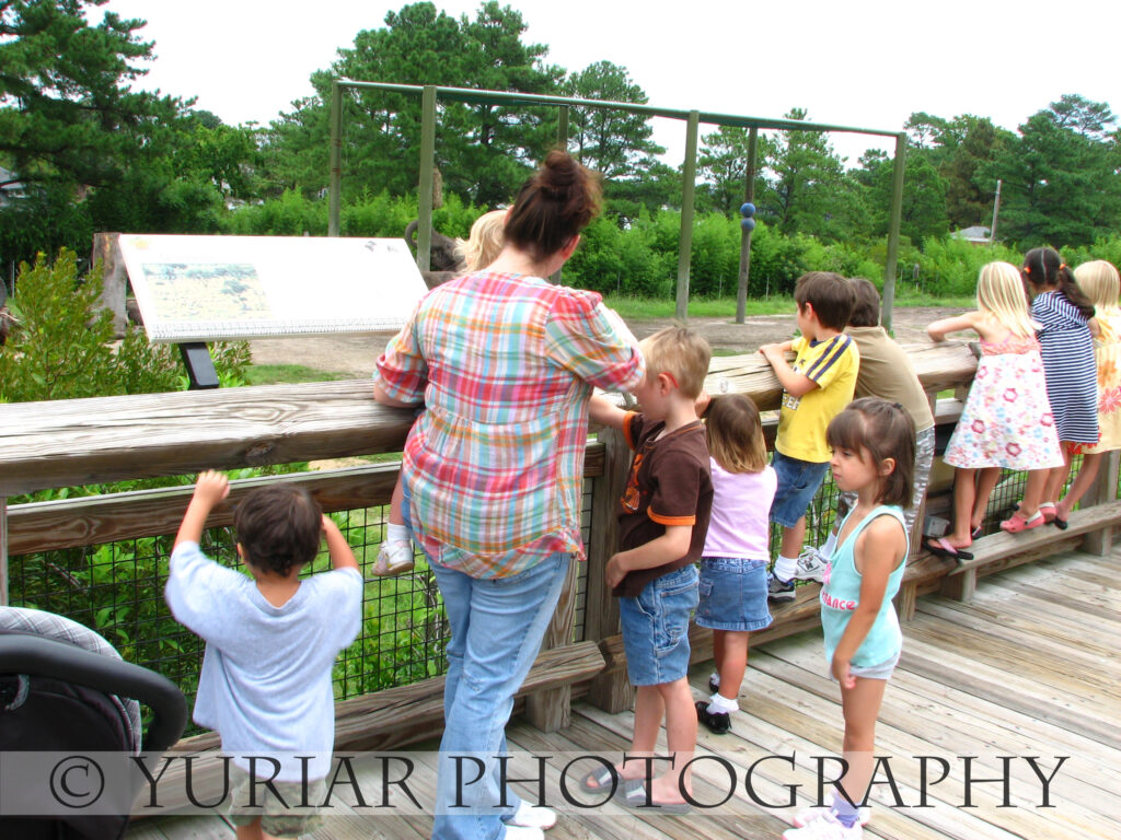 Checking out the Elephants