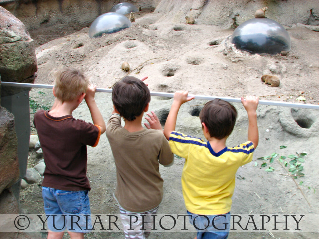 I’m not the stupidhead!