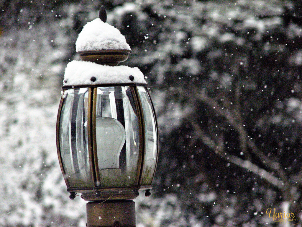 Snow Covered Lamp