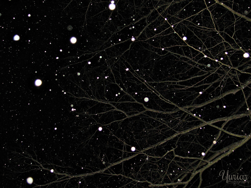 Night Snow