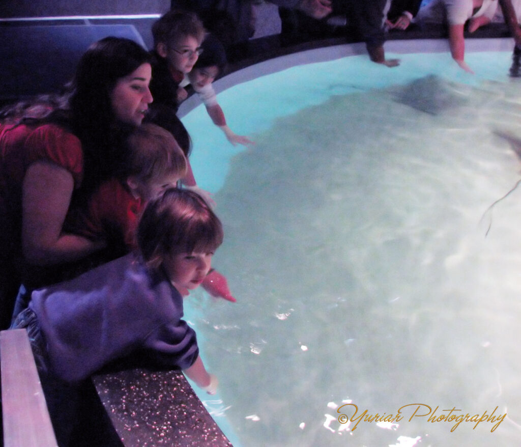 Waiting for the Rays