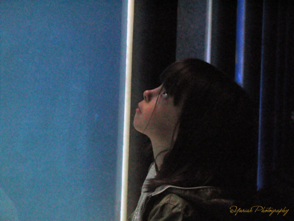 Watching fishes