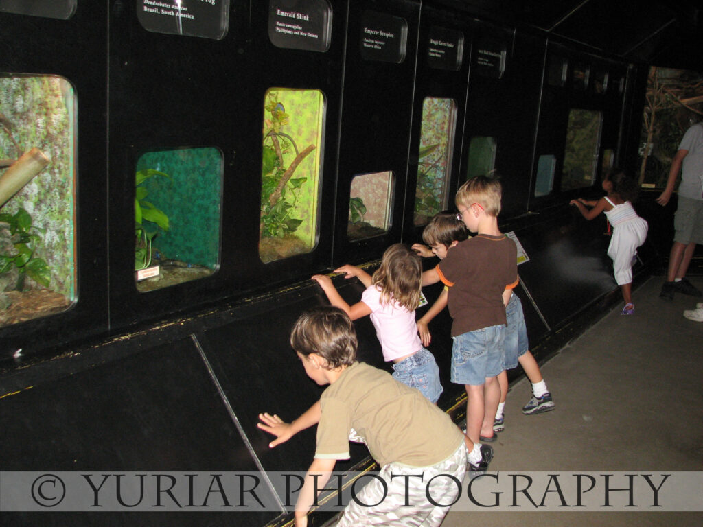 check out the snakes!