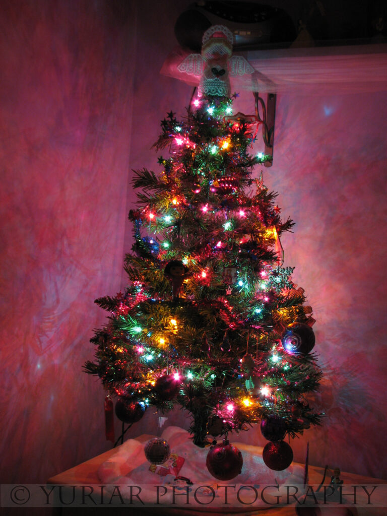 thePinkDiva’s tree