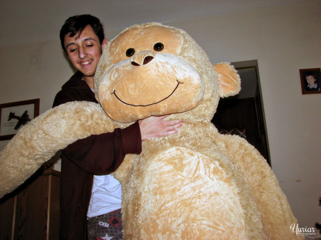 A Giant Stuffed Monkey